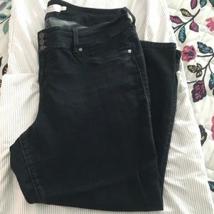 Torrid jeggings